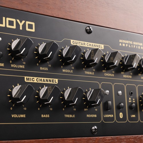 JOYO Bsk 60 W Acoustic Guitar Amplifier JOYO Bsk 60 W Acoustic Guitar Amplifier