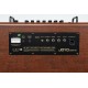 JOYO Bsk 60 W Acoustic Guitar Amplifier JOYO Bsk 60 W Acoustic Guitar Amplifier