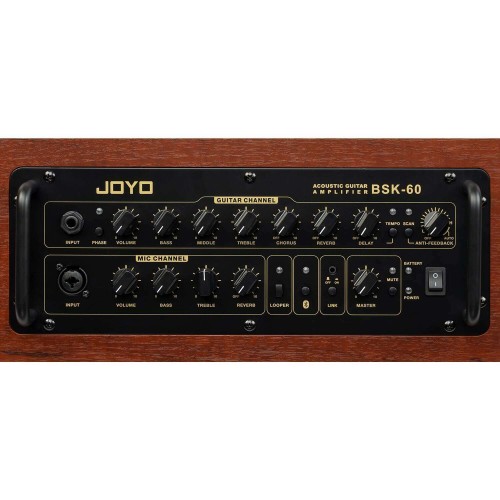 JOYO Bsk 60 W Acoustic Guitar Amplifier  - Bsk 60 Acoustic Amplifier Order Acoustic Amplifiers Direct 